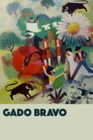 Gado Bravo